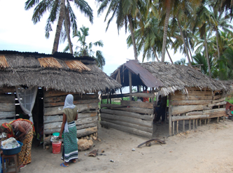 Rural road in Lindi Region